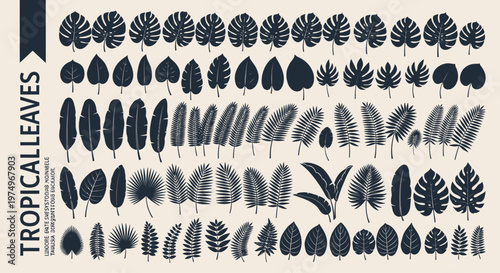 Collection of various tropical plant leaves and foliage in a diverse array of shapes and sizes