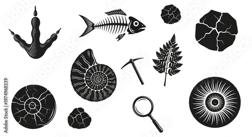 Black and White Paleontology Fossil Collection and Geology Field Tools Vector Set