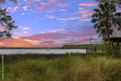 a gorgeous landscape at Jacksonville Zoo and Botanical Gardens in Jacksonville Florida USA