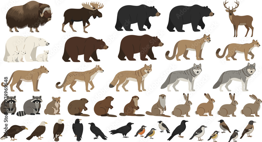 Obraz premium Forest and Arctic Wildlife Animals Collection with Bears, Wolves, Foxes, Deer, Birds and More Detailed Flat Vector Illustrations for Nature and Ecology Design.