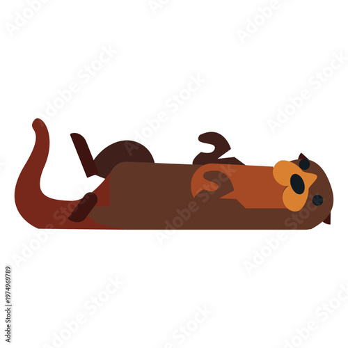 Kalan muzzle tail fur rounded flat