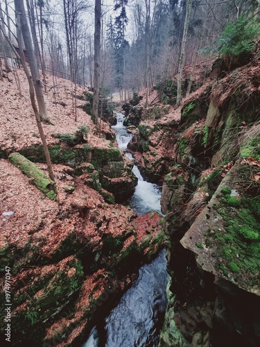 Wilczki Waterfall in Międzygórze, wild mountain landscape with flowing water, rocks and forest gorge, natural beauty and power of nature.