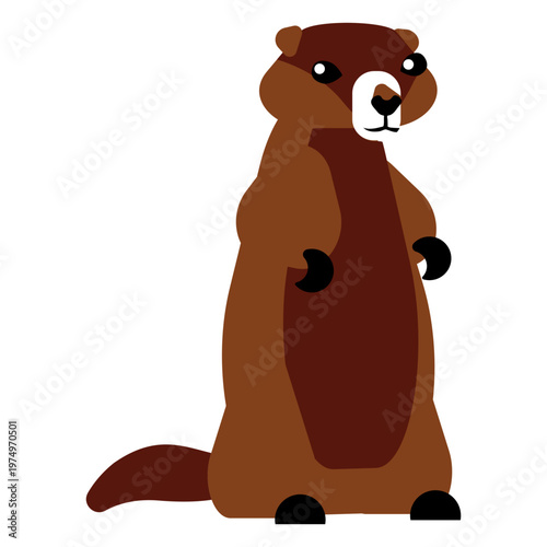 Otter muzzle fur tail rounded flat