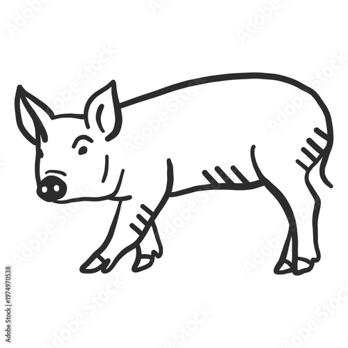 Pig hoof snout ear doodle