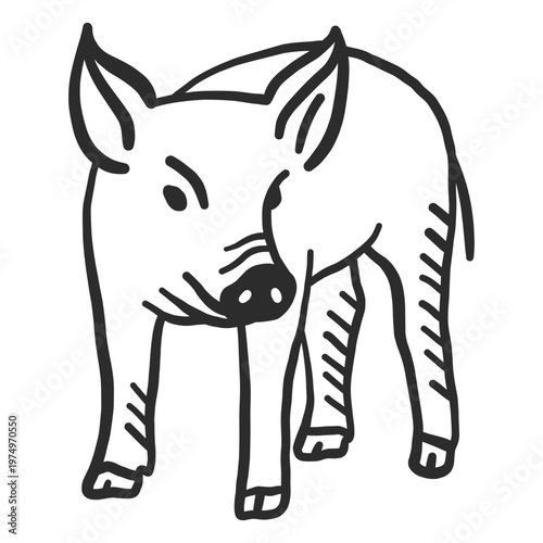 Pig snout ear hoof doodle