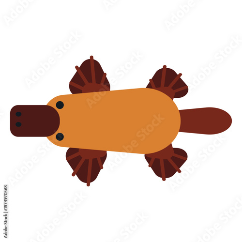 Platypus duckbill beak muzzle tail rounded flat