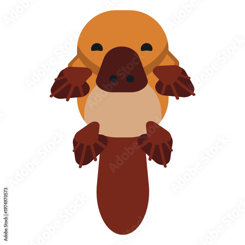 Platypus duckbill tail muzzle beak rounded flat