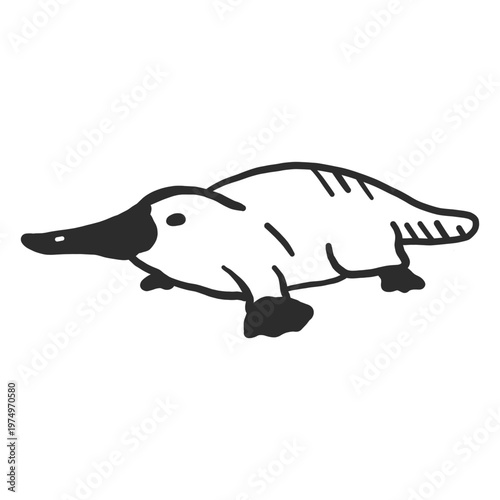 Platypus tail duckbill beak muzzle doodle