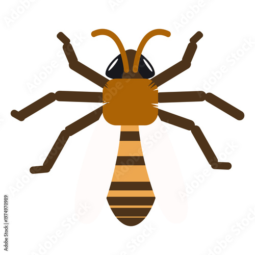 Wasp bee stripe wing rounded flat