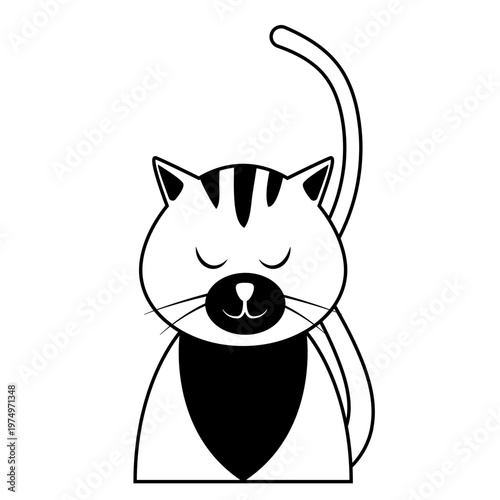 Cat muzzle whisker ear tail stroke