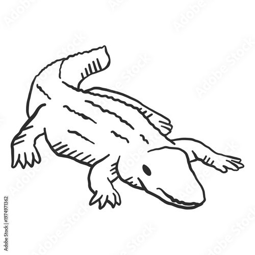 Crocodile tail alligator doodle