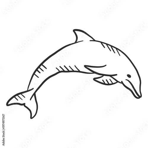 Dolphin flipper swimming tail doodle