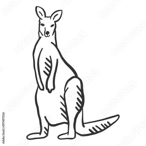 Obraz na plátně Kangaroo leg tail ear doodle
