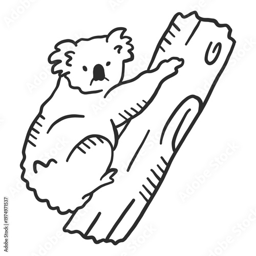 Koala ear nose branch doodle