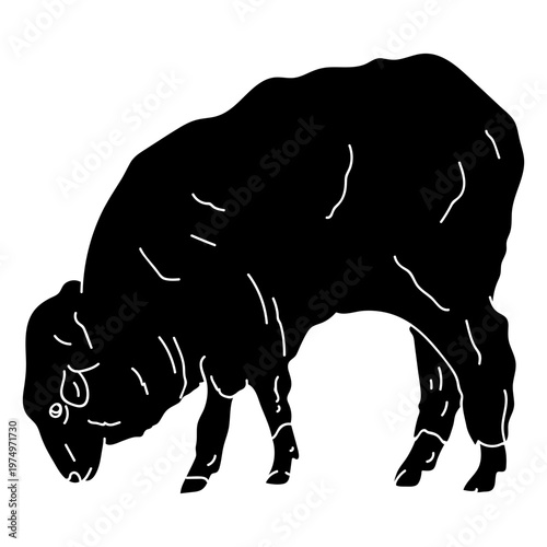 Sheep lamb ear wool hoof detailed silhouette