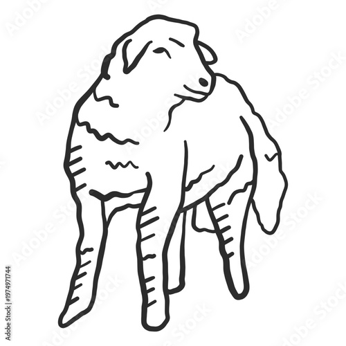 Sheep lamb hoof ear wool doodle