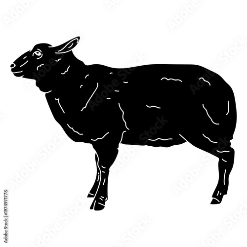 Sheep lamb wool ear hoof detailed silhouette