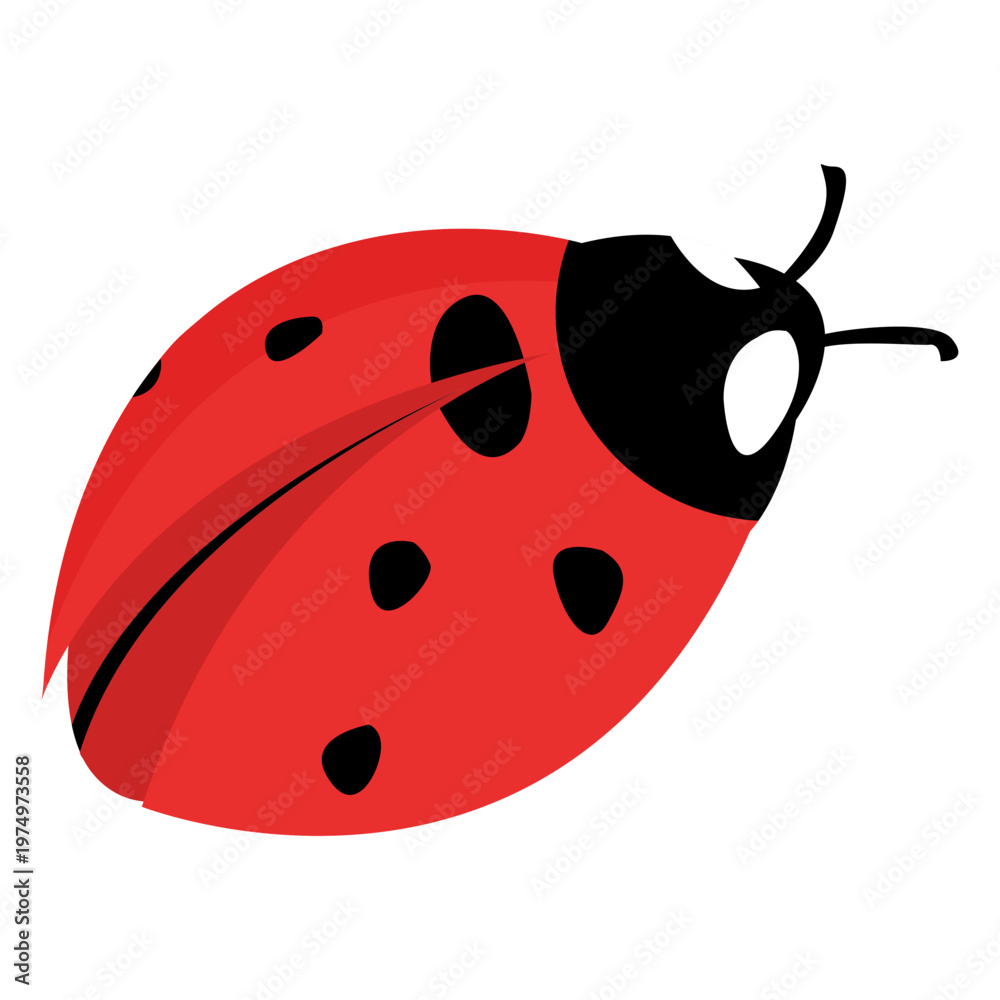 Obraz premium Flat ladybug image ladybug