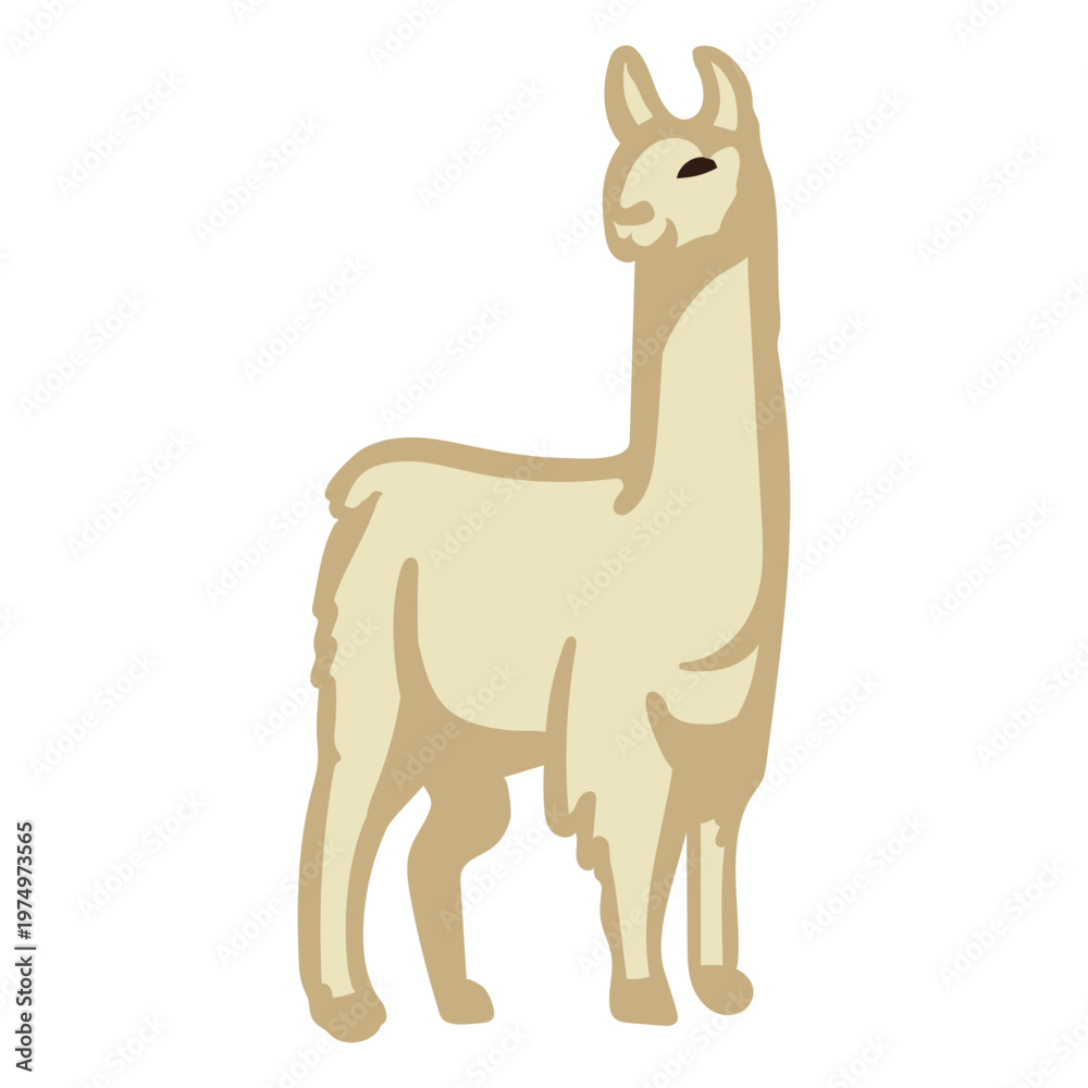 Obraz premium Flat llama standing