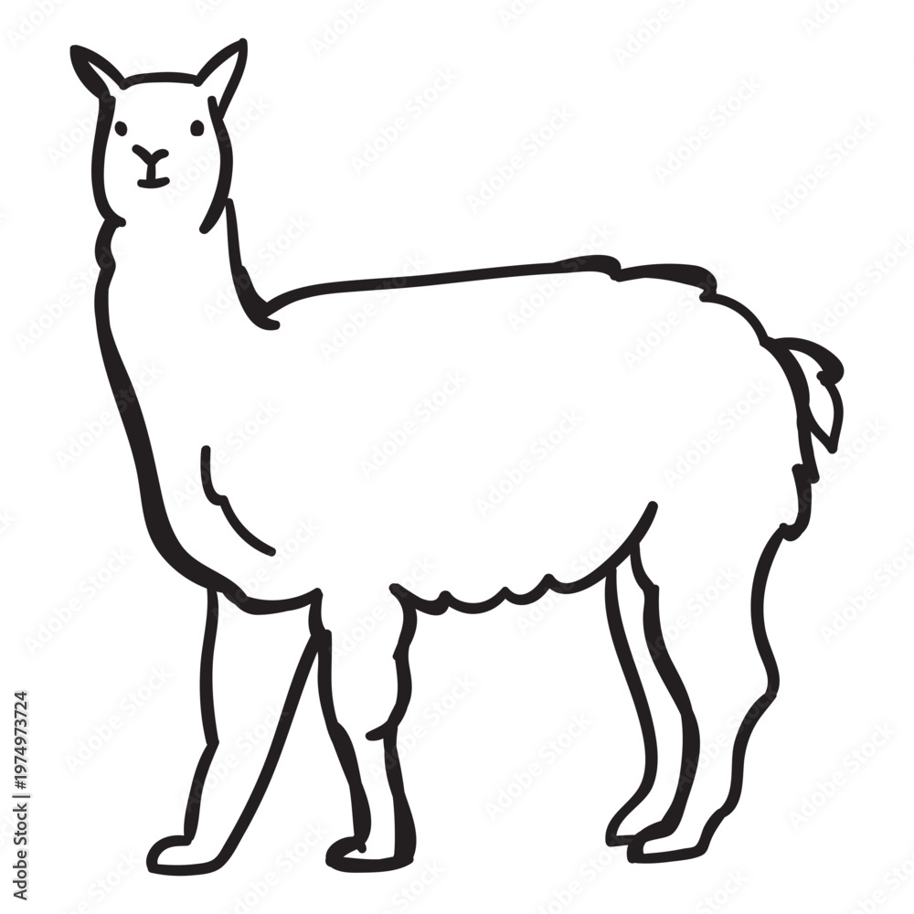 Obraz premium Stroke standing llama