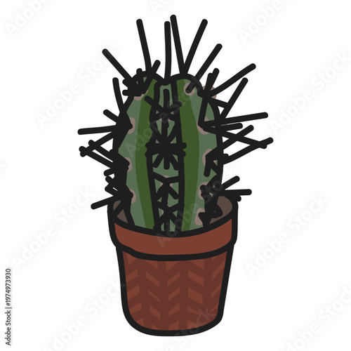 Cactus succulent illustration