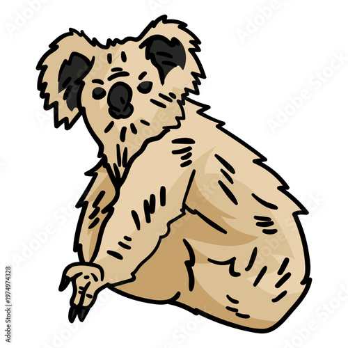 Koala bear hand drawn