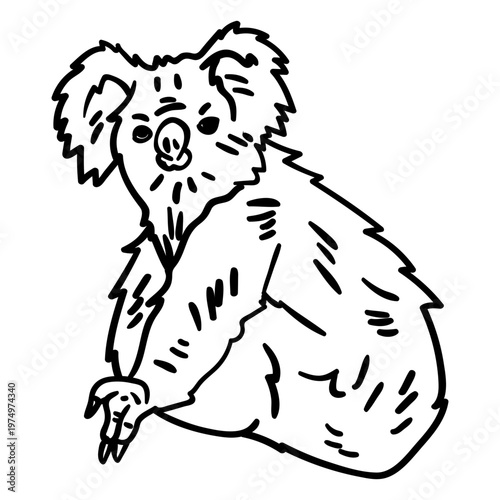 Koala bear stroke koala
