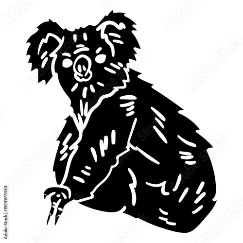 Koala bear black