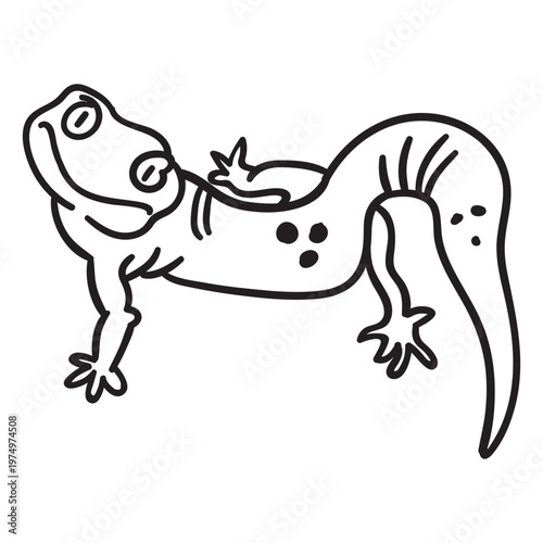 Lizard staring stroke