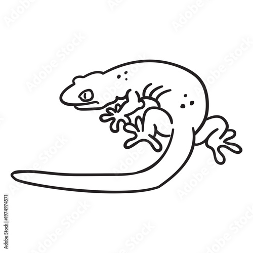 Stroke simple lizard