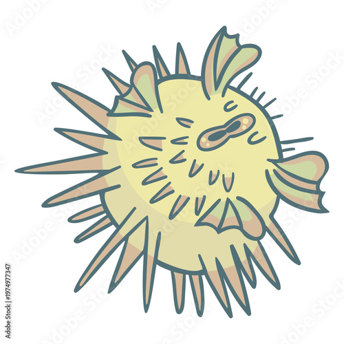Photography Beige blowfish pucker design