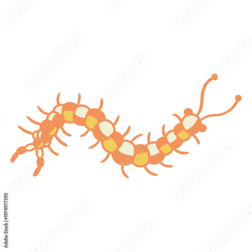 Orange centipede crawling