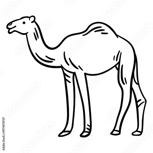 Desert animal camel hump stroke