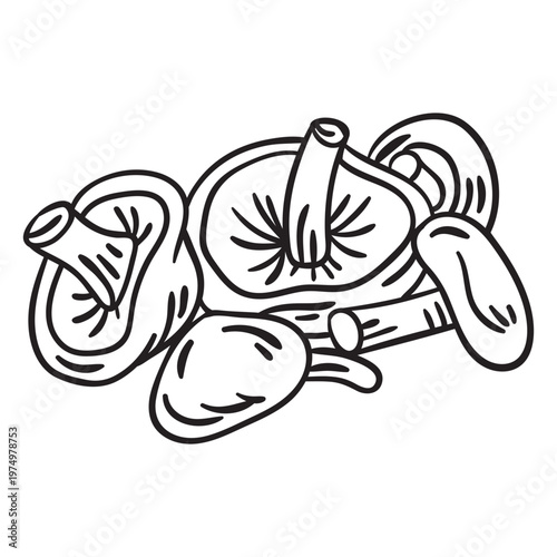 Food edible mushrooms stroke