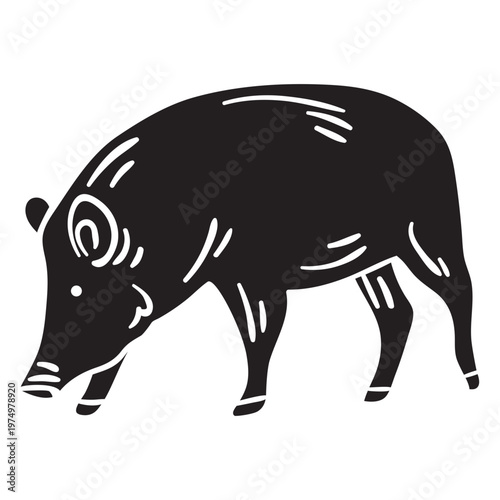 Native pig animal breed black