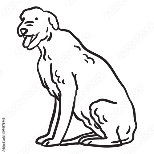 Pet animal dog terrier stroke