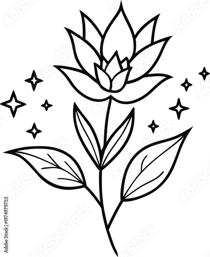 a minimal botanical graphic sketch drawing  trendy