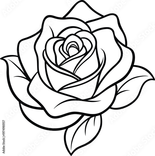 a minimal flower graphic sketch line art drawing