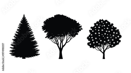 Three keywords black silhouette trees one pine two deciduous with flowers on white background
