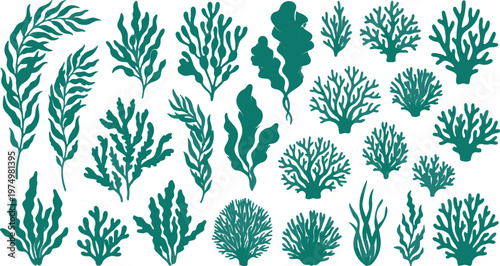 Seaweed, ocean plants, green coral, underwater foliage, vector icons