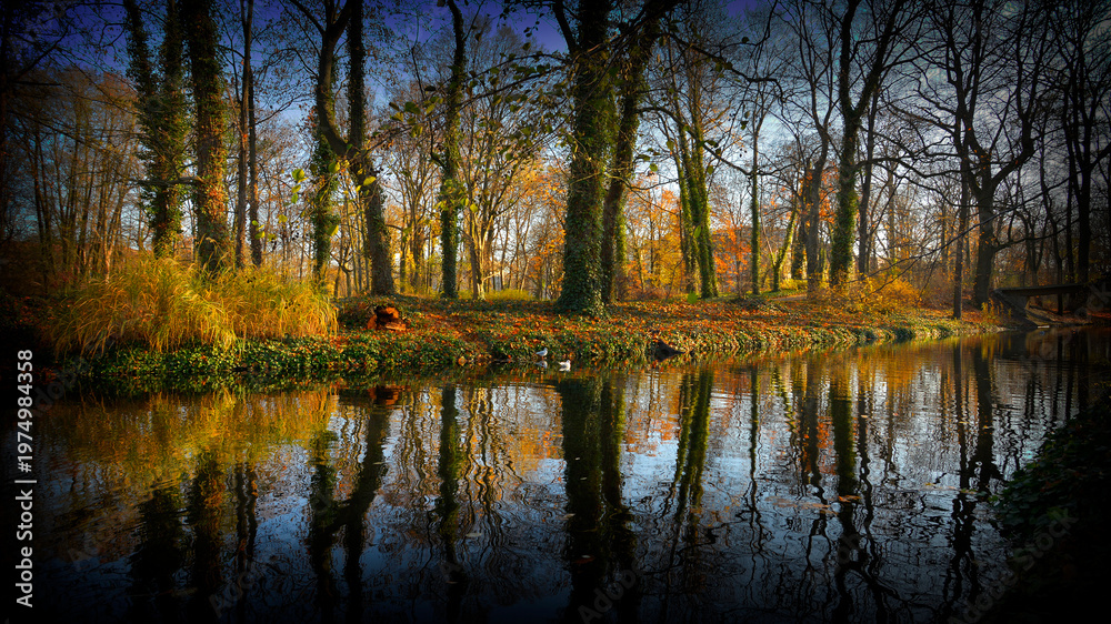 Obraz premium Autumn in the park