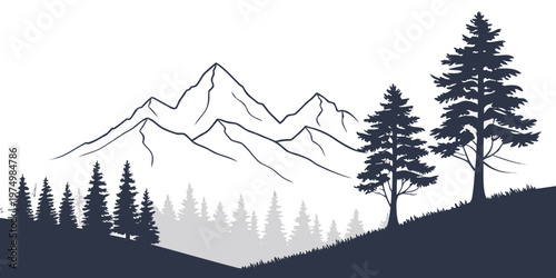 A house with snow on the roof under a clear night sky