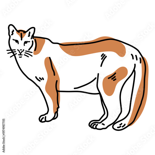 Brown cat color stroke