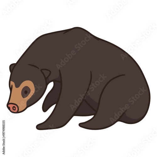 Spectacled bear color stroke