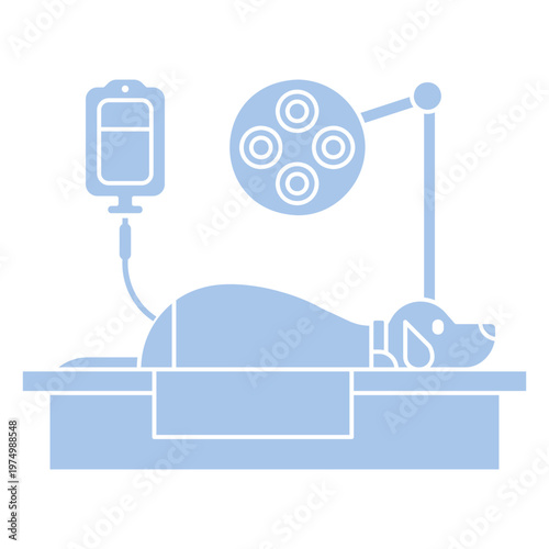 Veterinarian pet dog