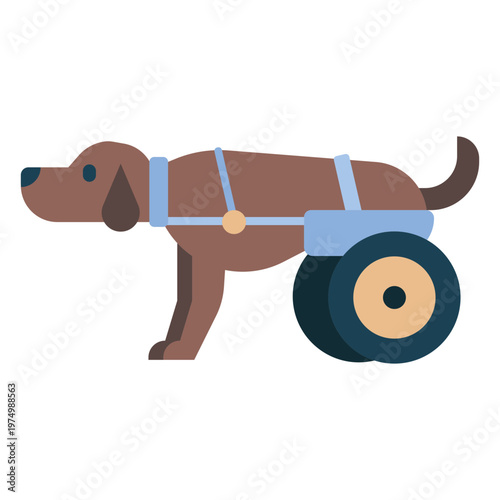 Pet dog veterinarian animal