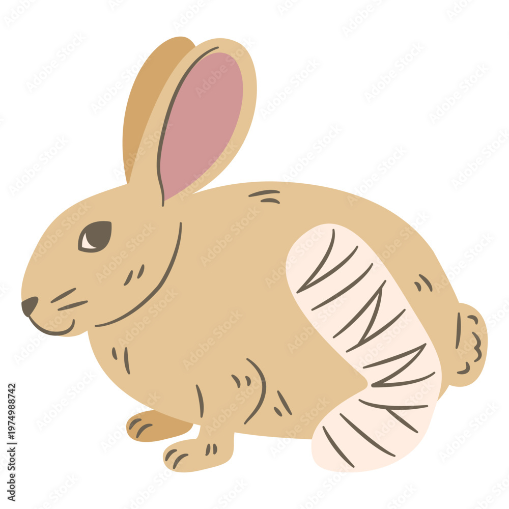 Fototapeta premium Bunny with Injured Leg