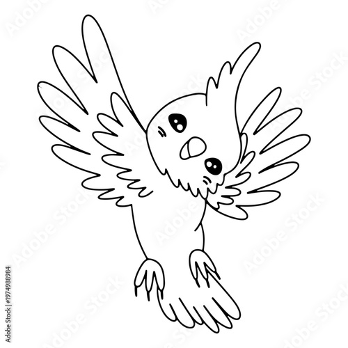 Australian bird cute animal