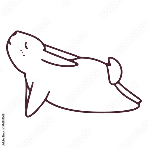 Yogui bunny stroke cobra