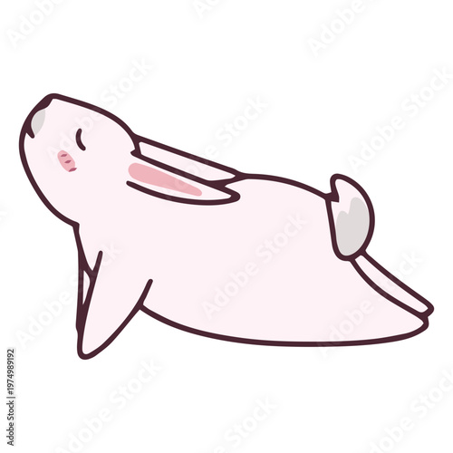 Yogui bunny color stroke cobra